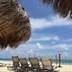 Vicky Z profile