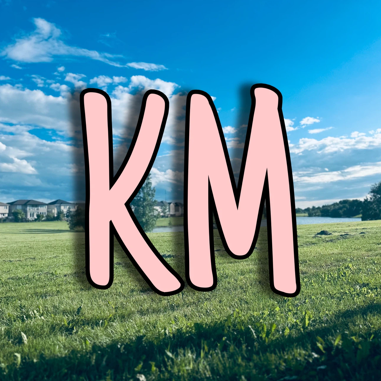 KM profile