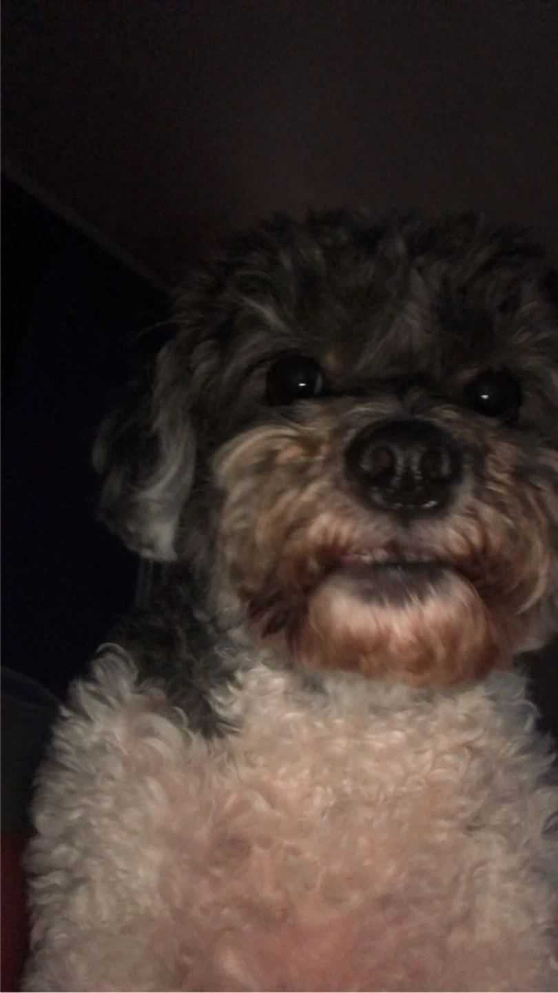 Cece profile