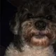 Cece profile