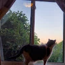 millie slobodian profile