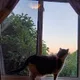 millie slobodian profile
