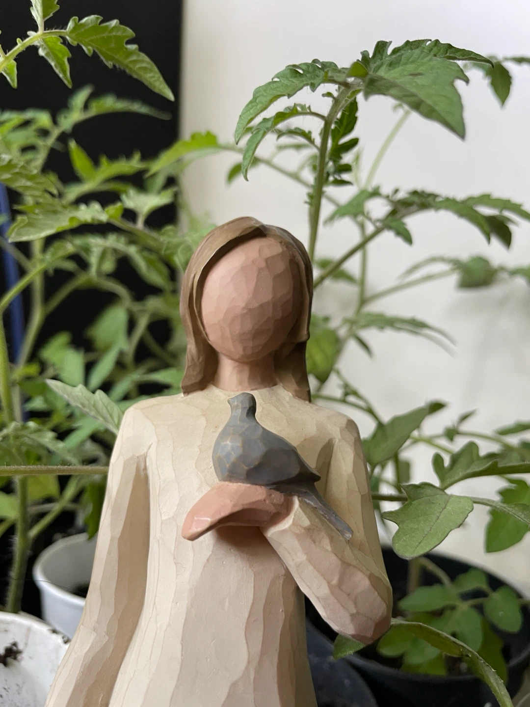 Aried profile