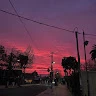 maravilla 17 profile