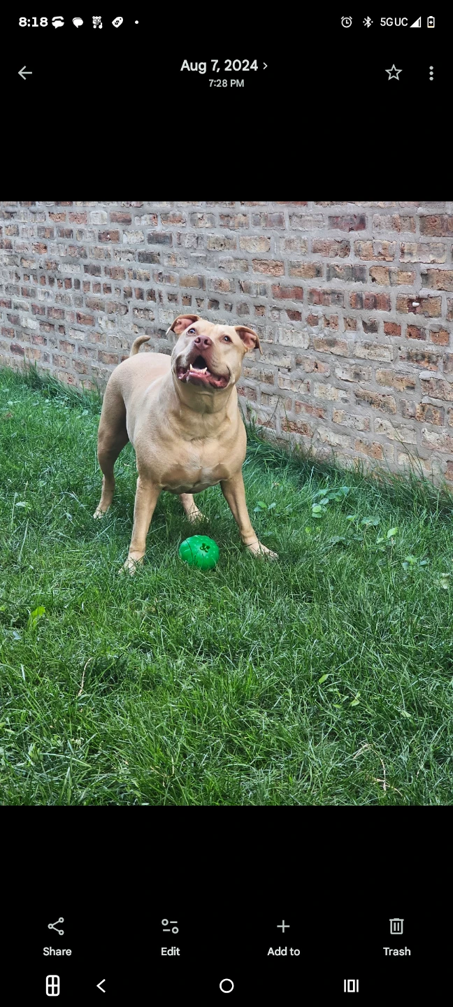 Eddie profile