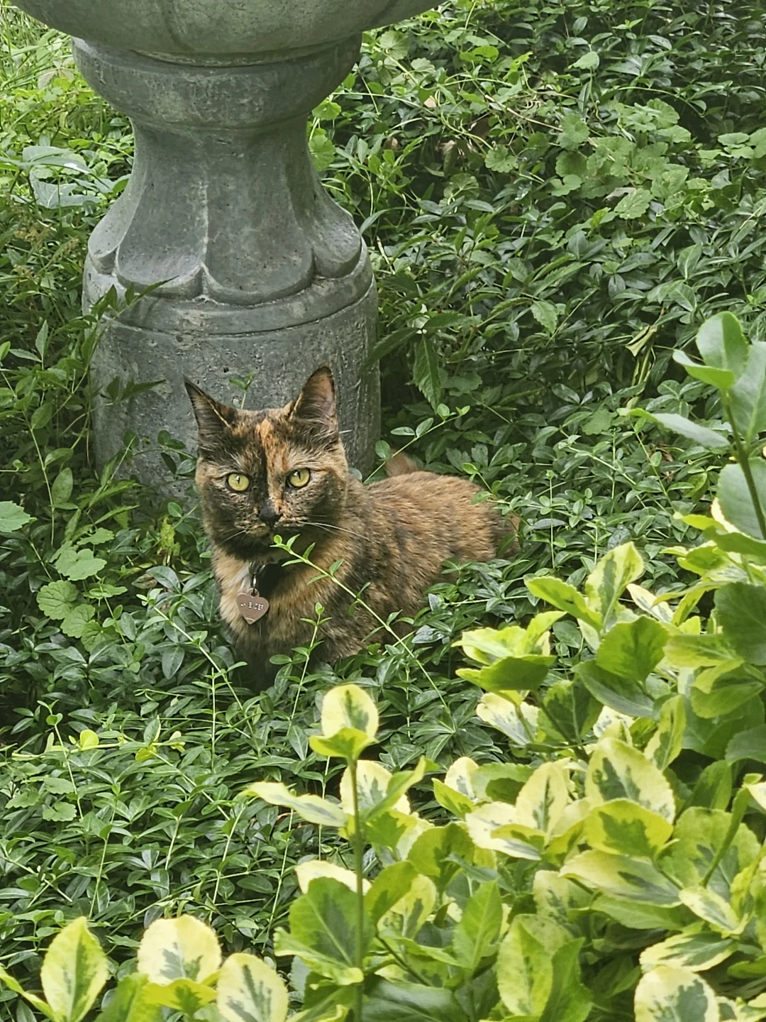 Lillian profile