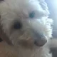 Braeden profile