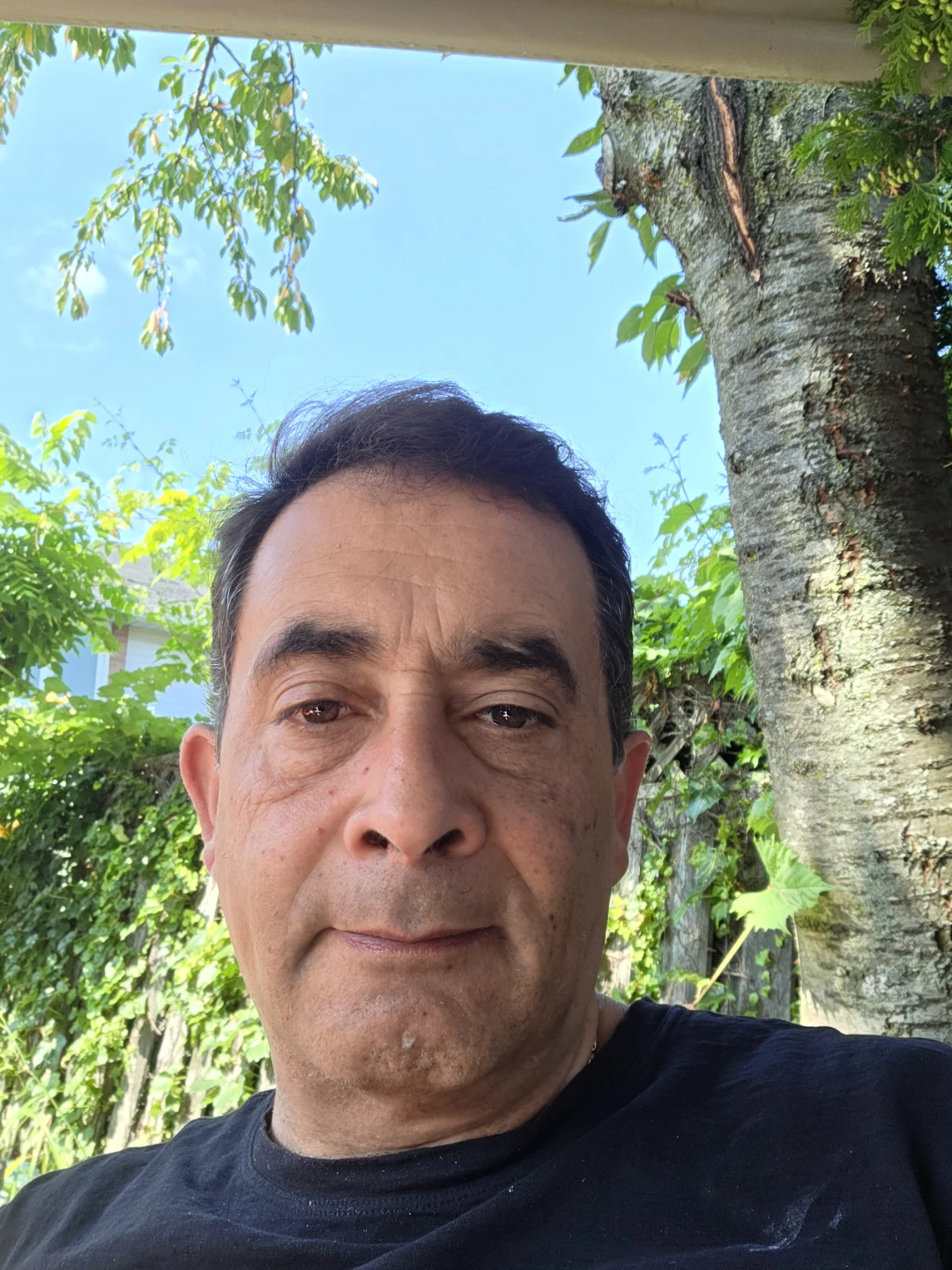 Tamer profile
