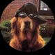 Min profile
