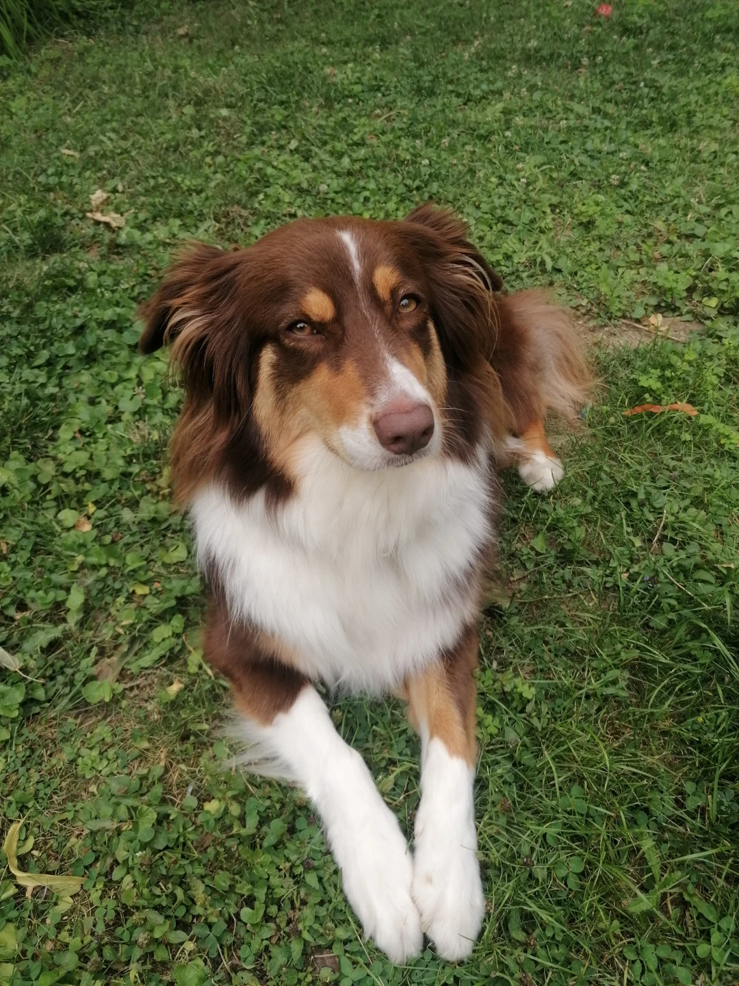 Jill profile