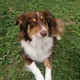 Jill profile