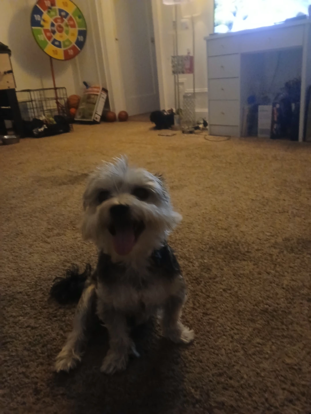 Benjamin profile