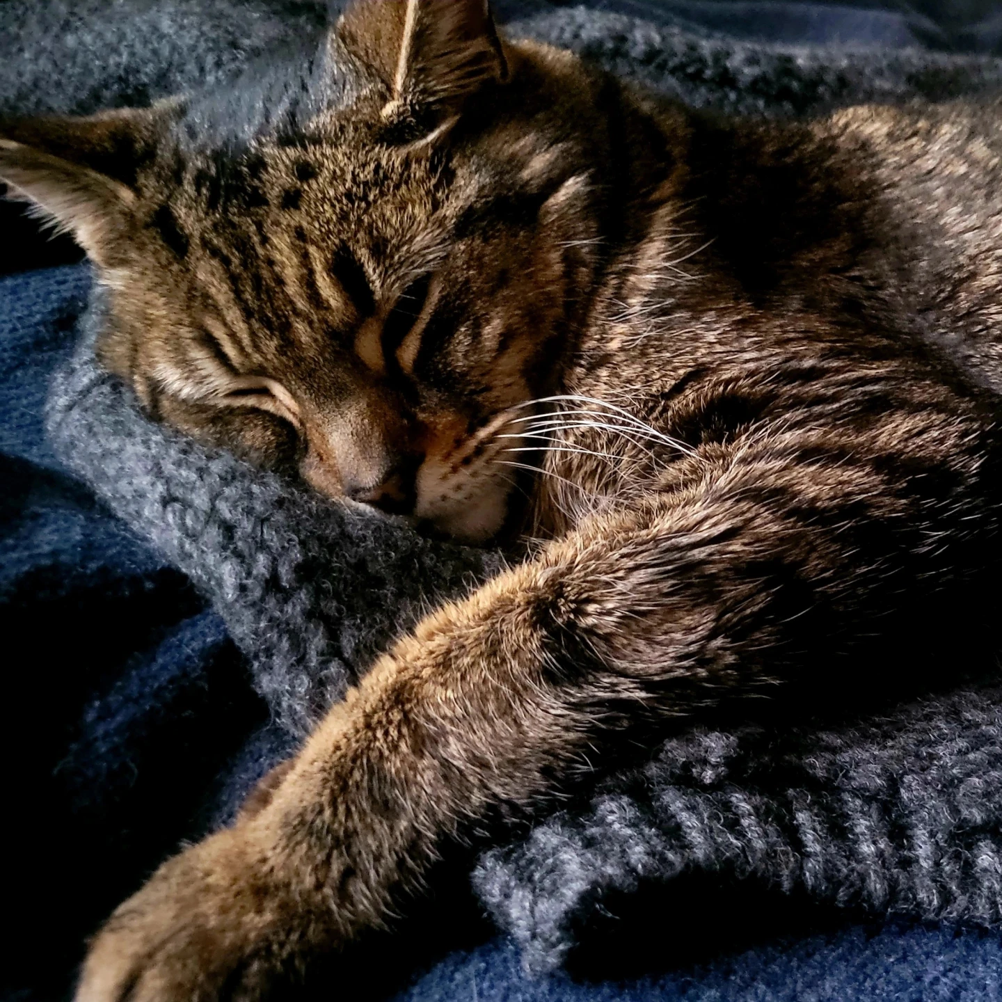 oscar profile