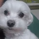 zoeeee profile