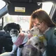Stacey profile