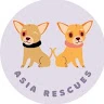 asia profile