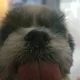 Savv profile