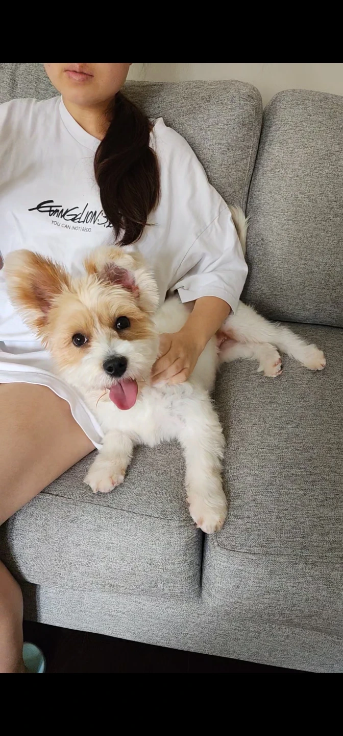 Bo profile