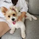 Bo profile