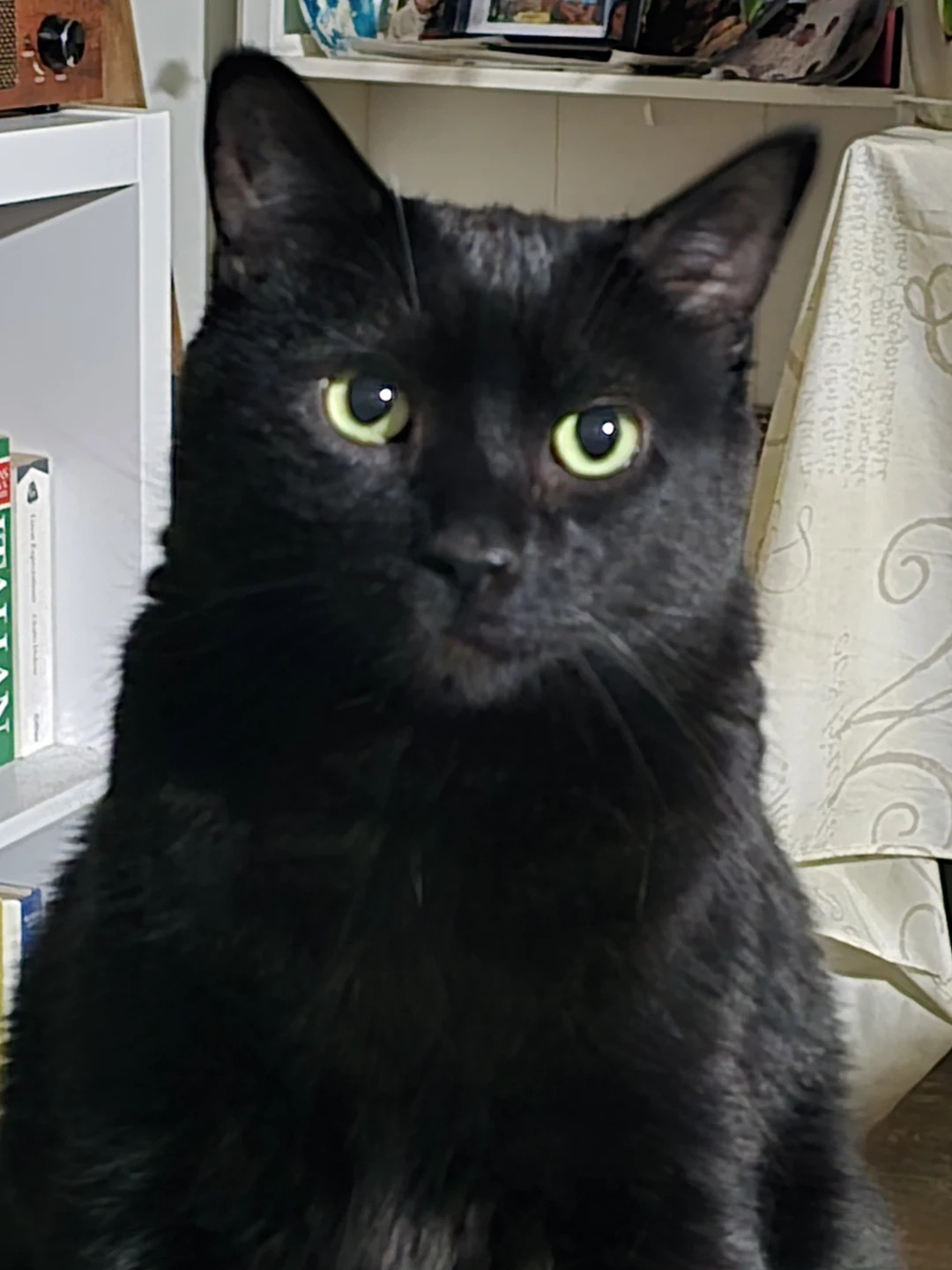 Ray profile
