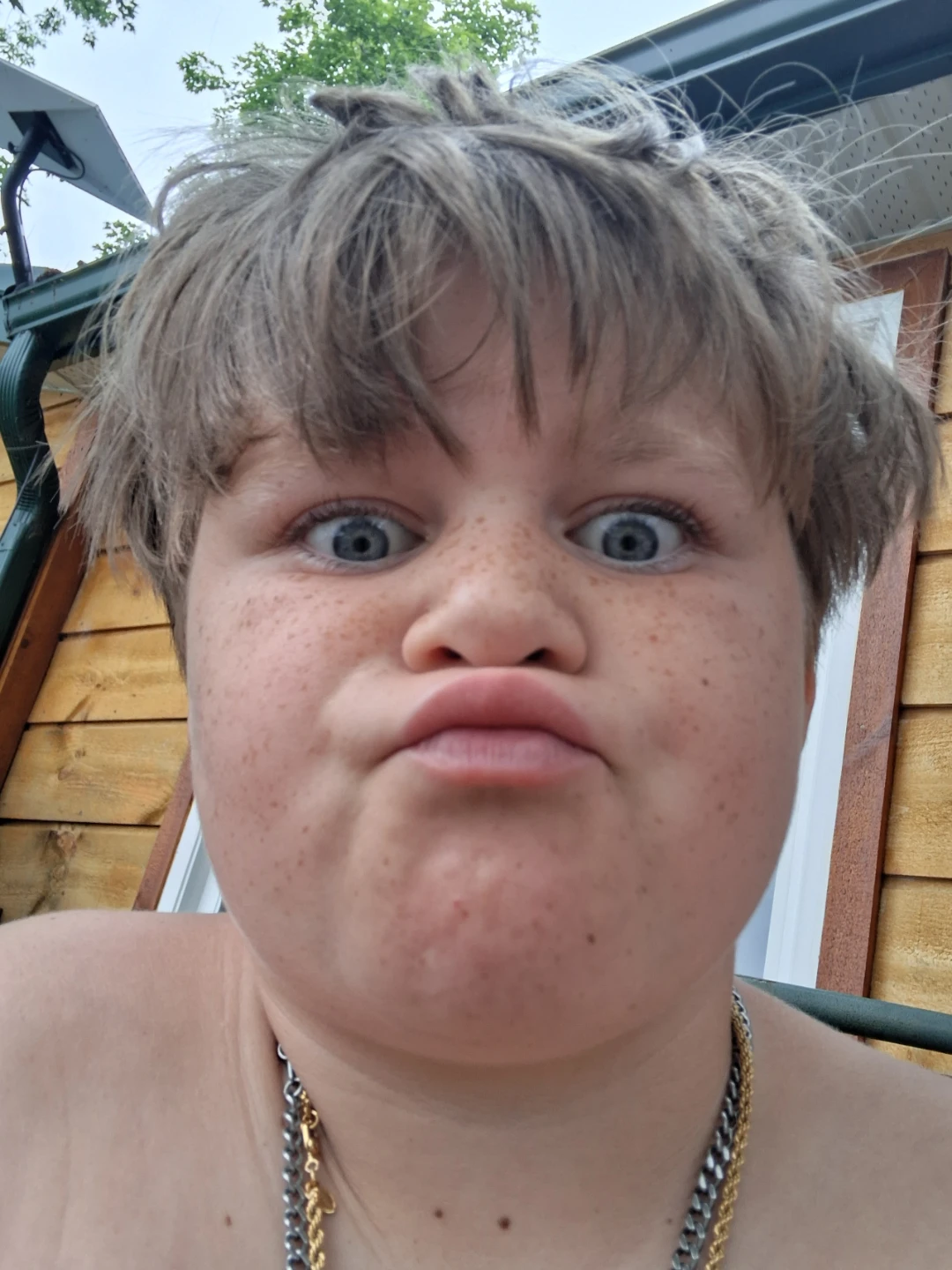 milo profile