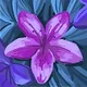 Angie Mackey profile