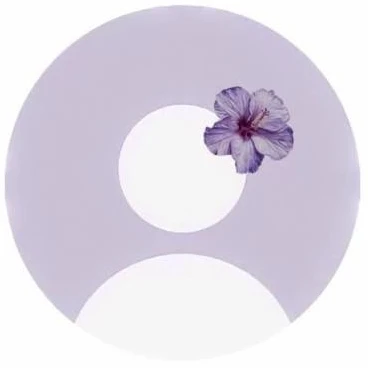 ana profile