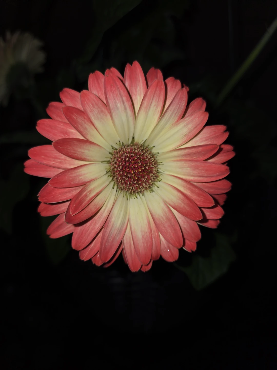 710850 profile