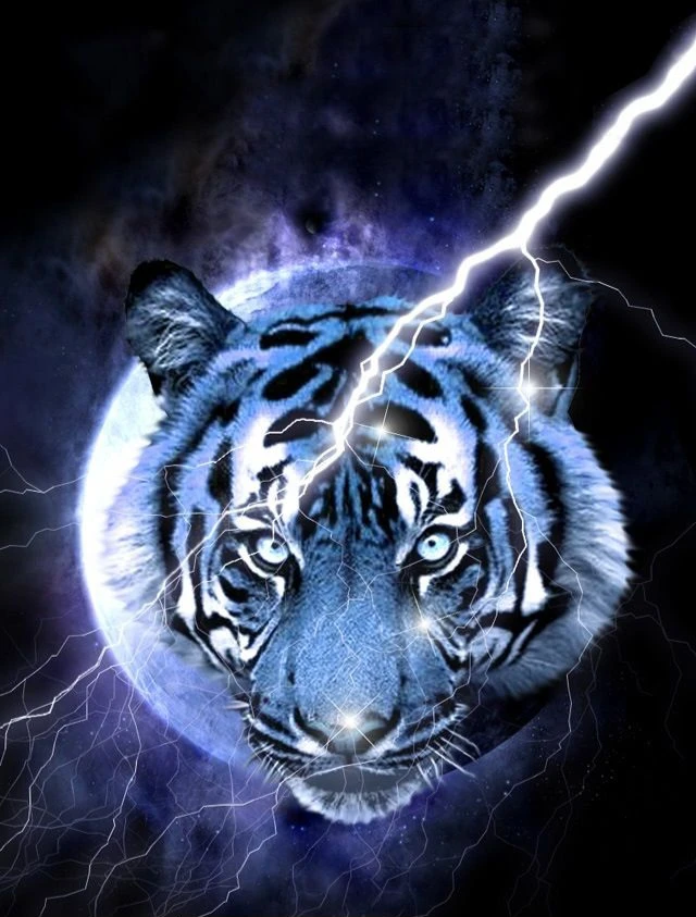 Tiger profile