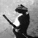 Husam profile