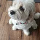 Jimmy profile