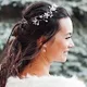 Carmen Dumelie profile