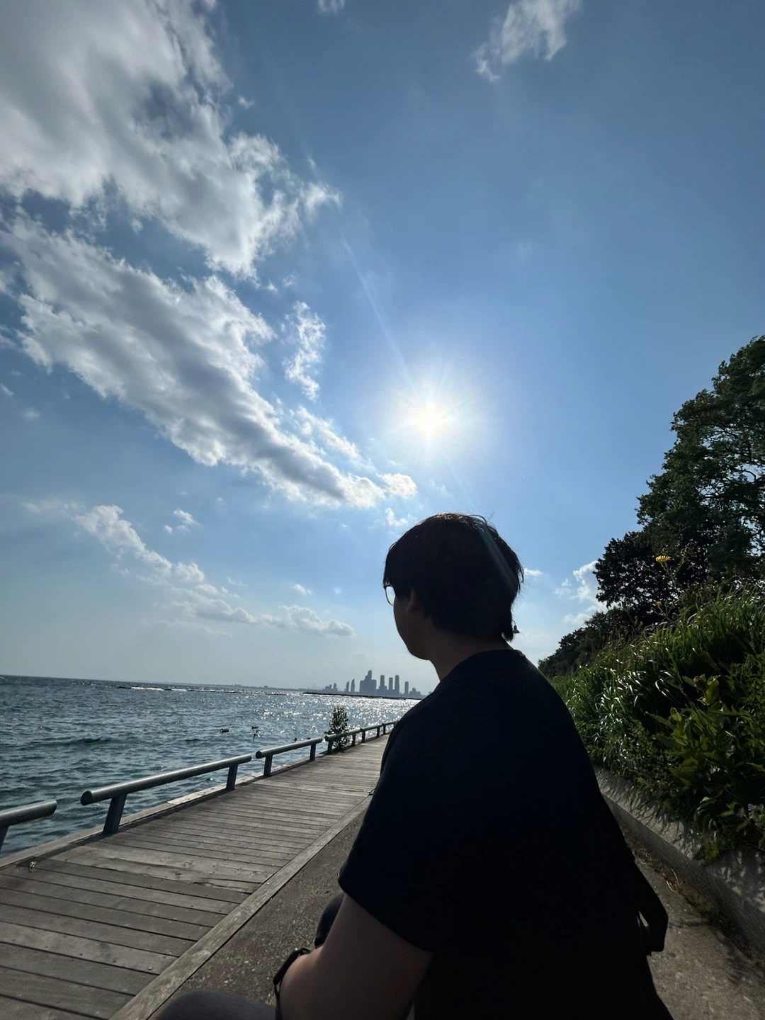 Vincent profile