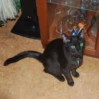 Rose Polich profile