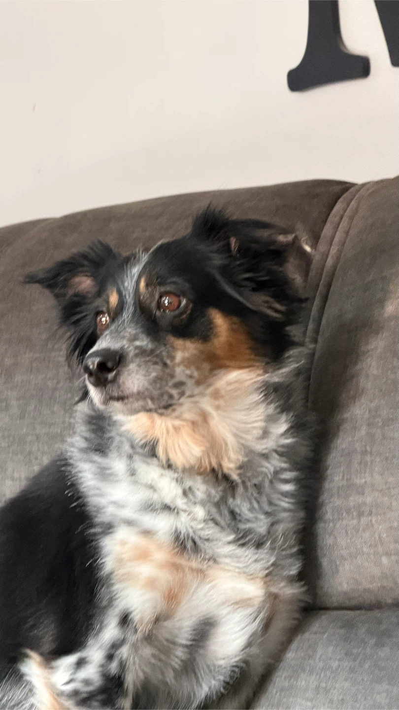 TA MITCH profile