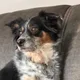 TA MITCH profile
