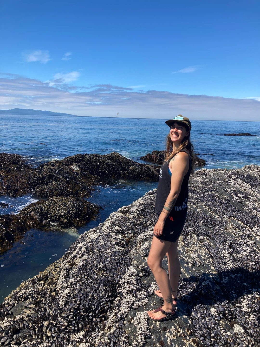 Lynda Shipley profile