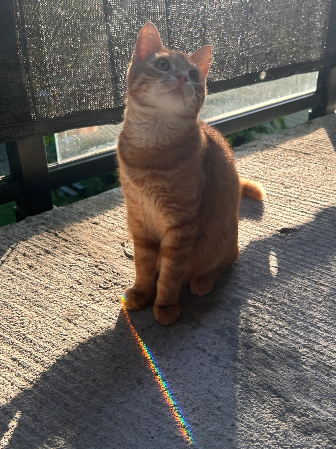 Logan profile