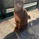 Logan profile