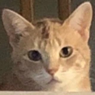 Solace profile