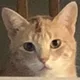 Solace profile