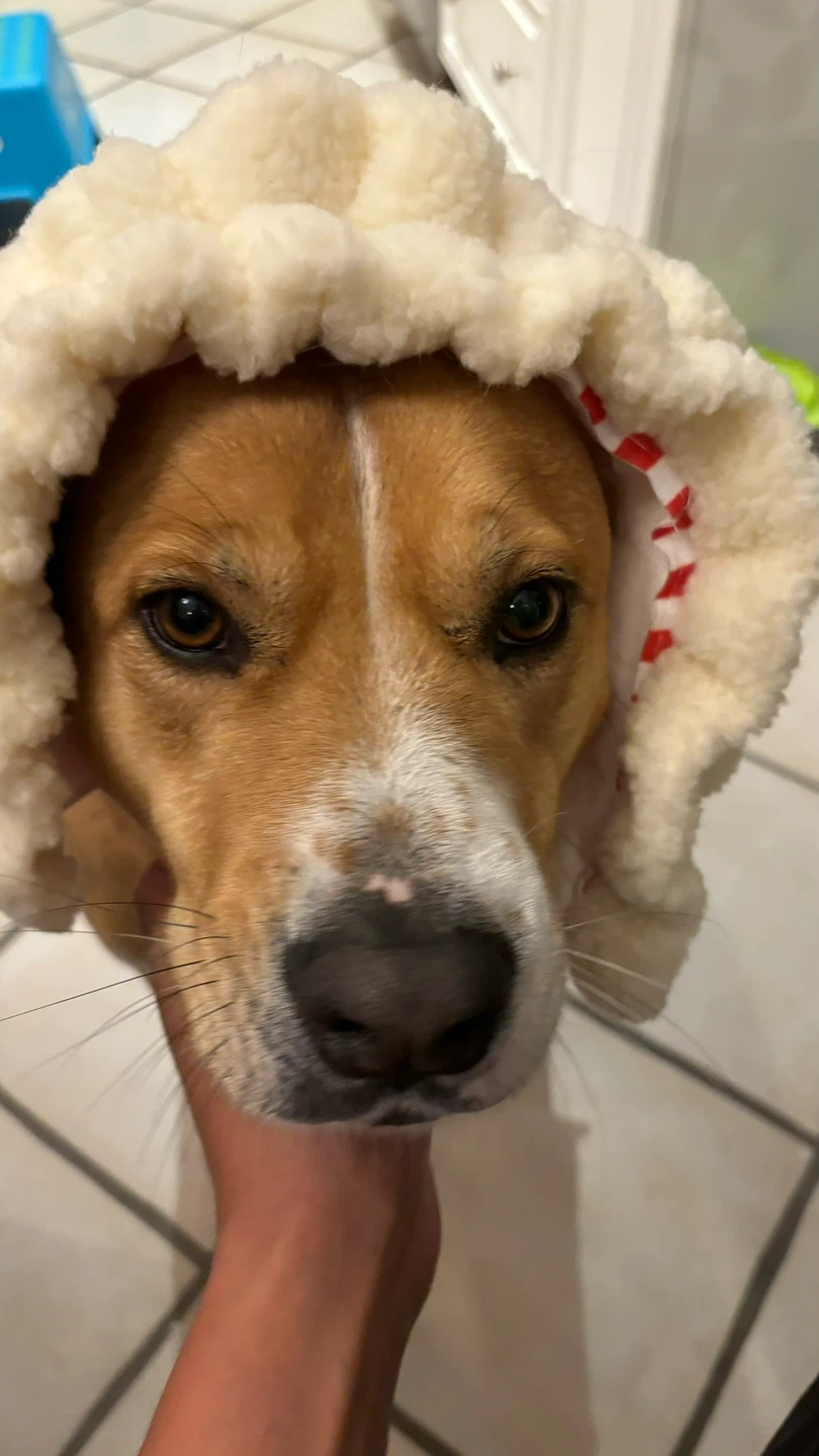 Heidi profile