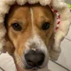 Heidi profile
