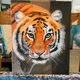 ZYZM profile