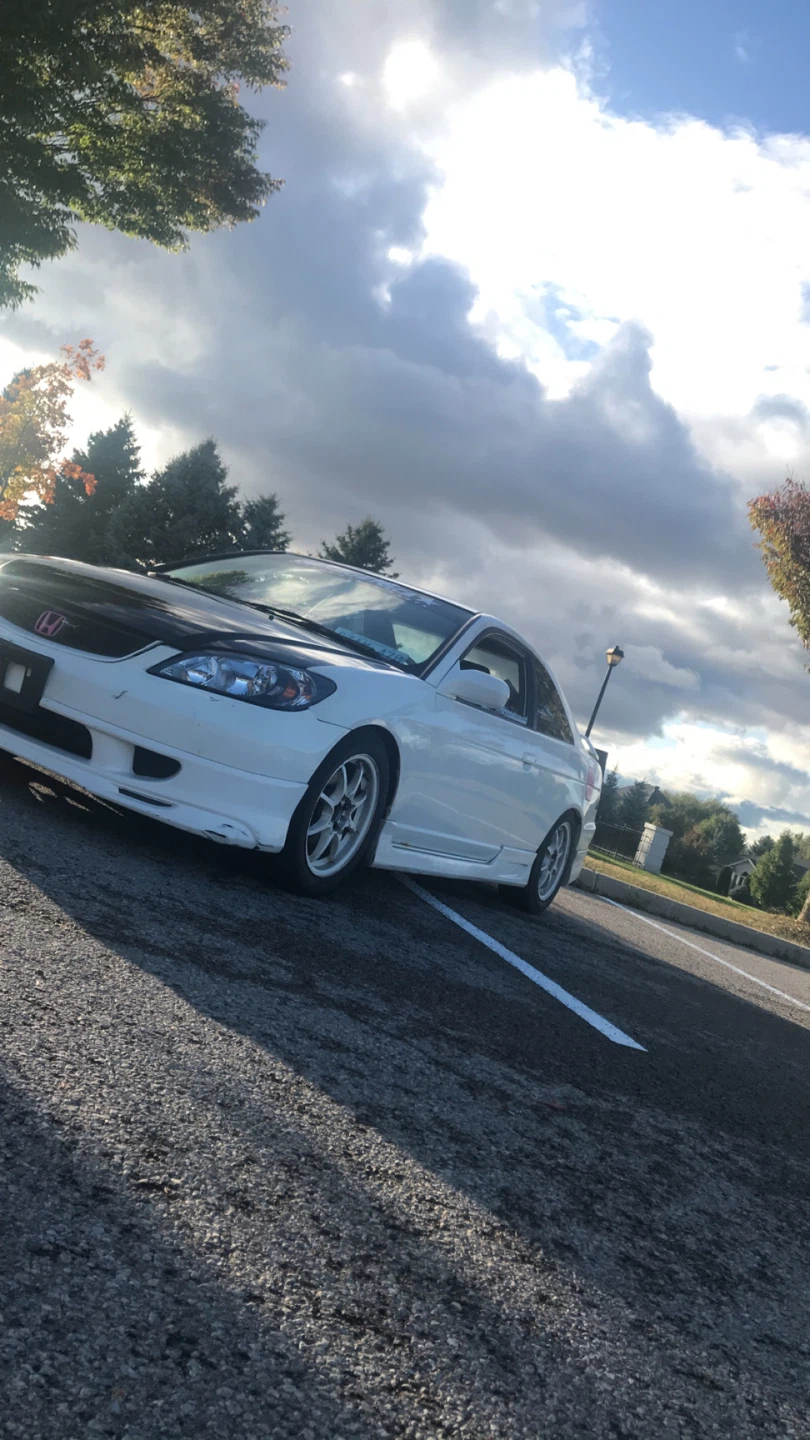 MM profile