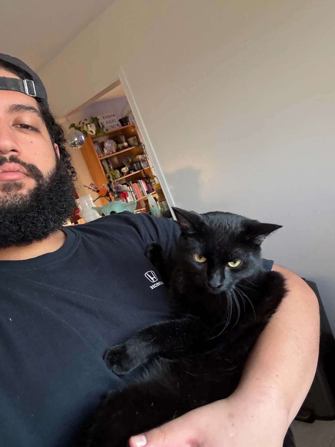Ali profile