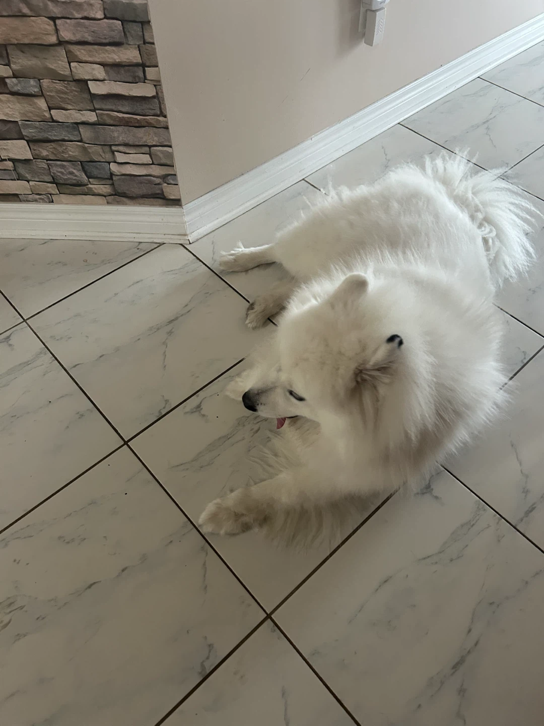 Atticus profile