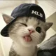 Albert profile