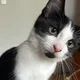 Sofia profile
