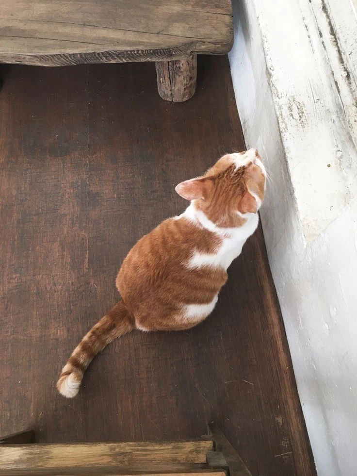 Billy profile